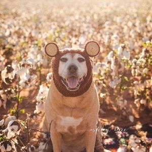 Meet your Posher, Tiff